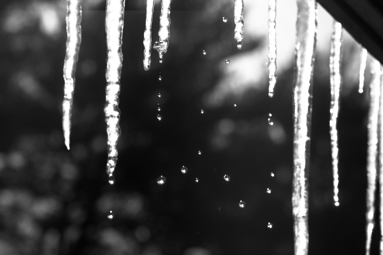 2015 01 29 HTP 000021733ebw